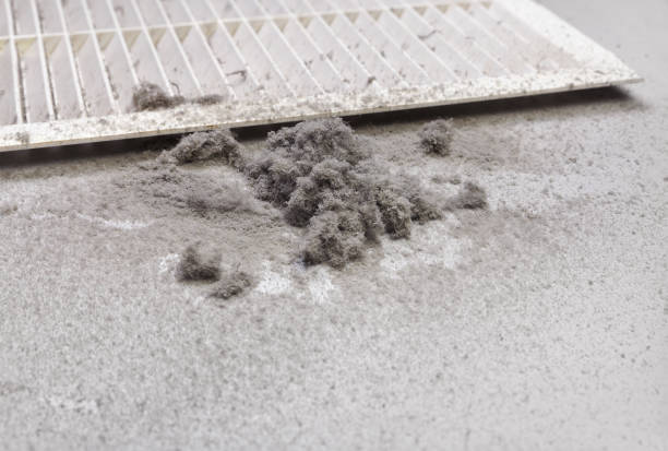 Best Air Duct Cleaning Company Near Me  in Bloomgton, IN